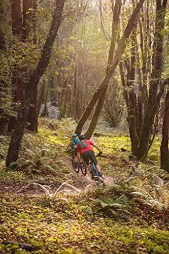 CamelBak Rogue Light Bike Hydration Pack 70oz - Image 12